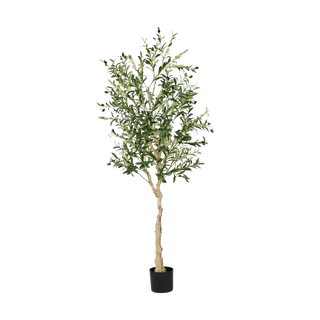 Faux Olive Tree, 6ft