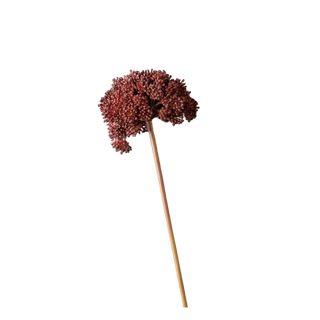 Abigail Ahern Sedum Crimson - Artificial Stem